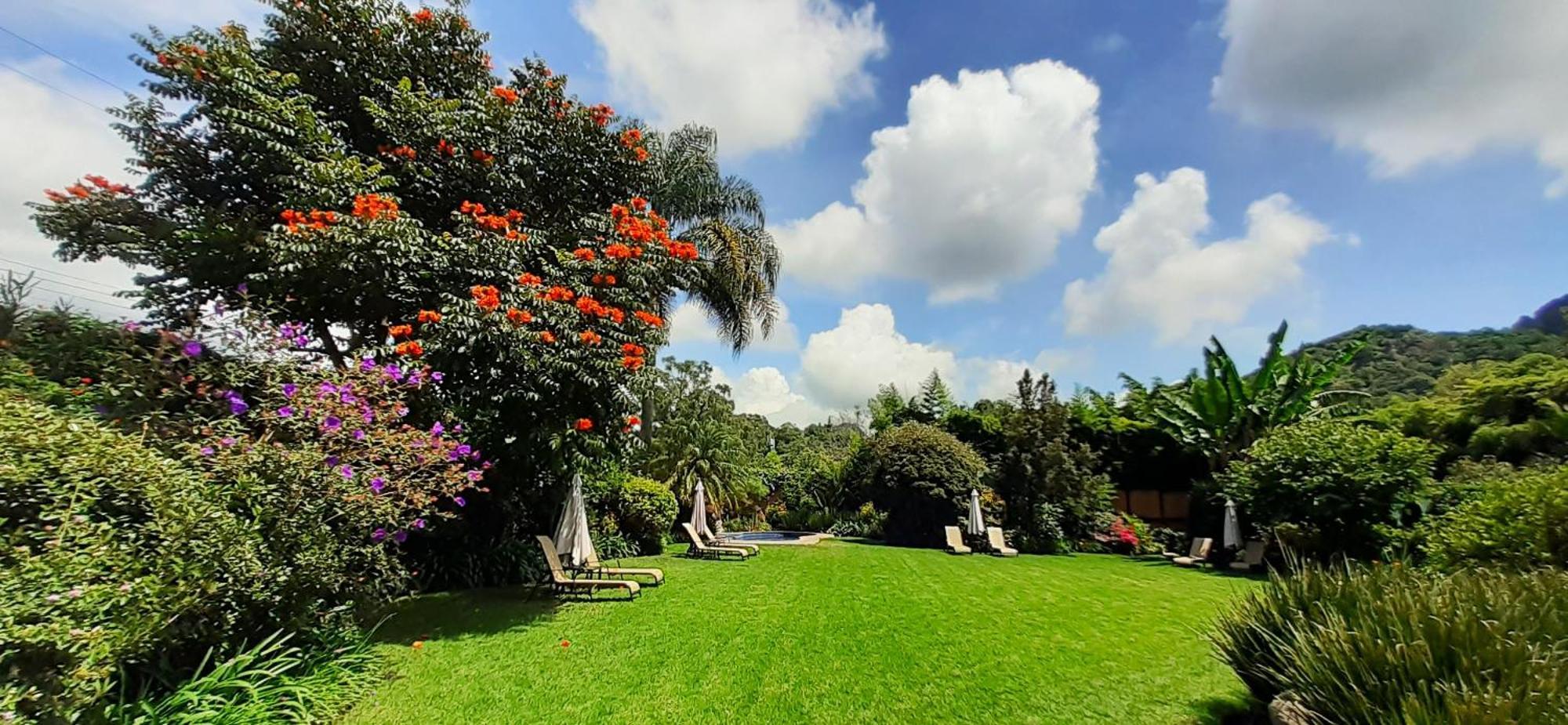 Arete (Adults Only) Otel Tepoztlán Dış mekan fotoğraf