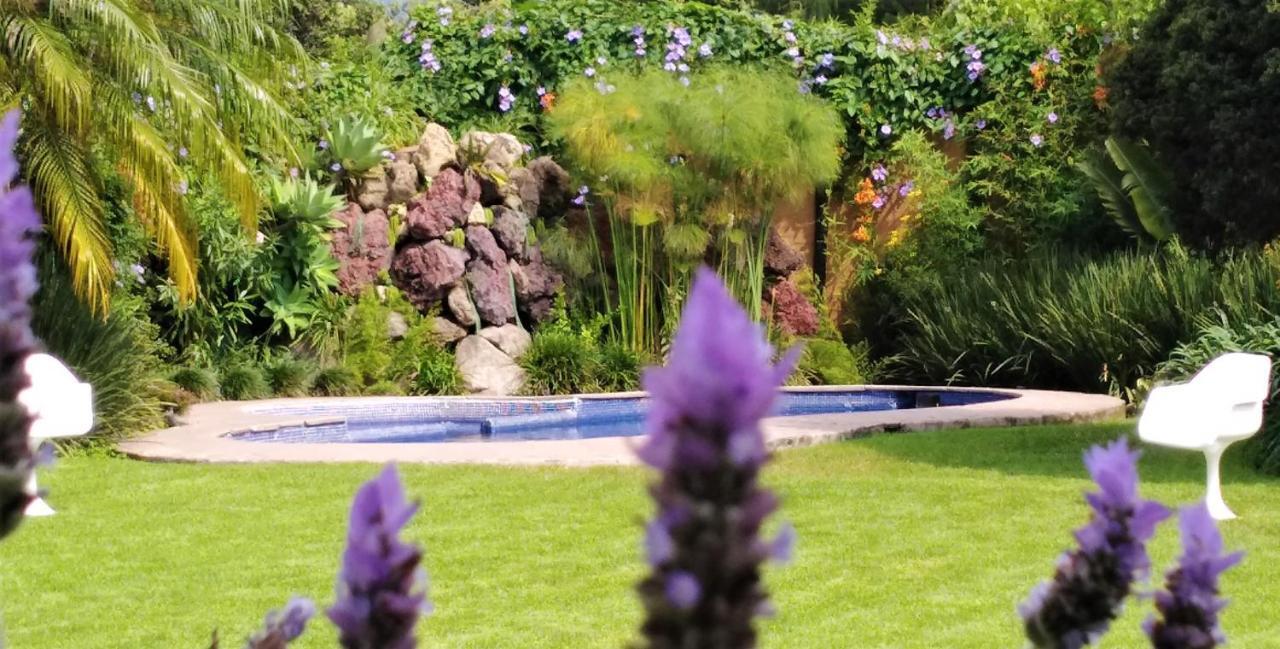 Arete (Adults Only) Otel Tepoztlán Dış mekan fotoğraf